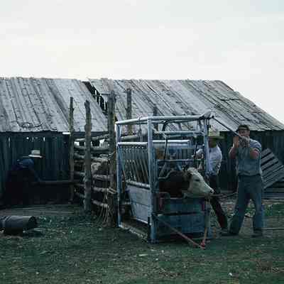 Hill Farm