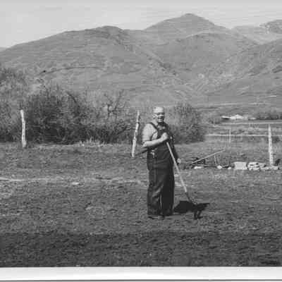 Alpheus Harvey on Farm