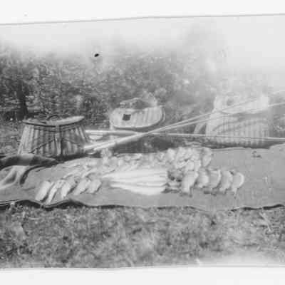 Fish on Blanket
