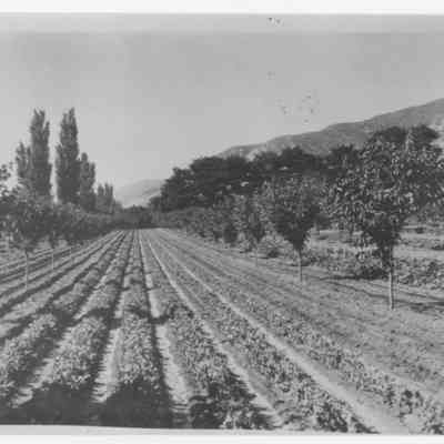 Gleason Farm