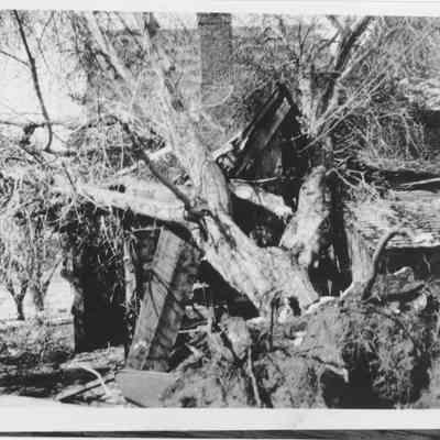 Ward House after East Wind