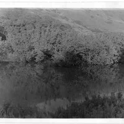 Criddle Orchard Flooding