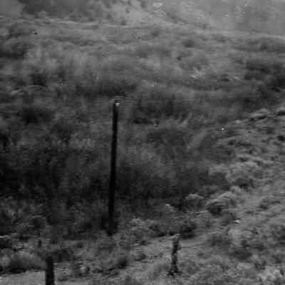 Dirt Trail
