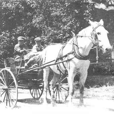 Stewart Burton Store Delivery