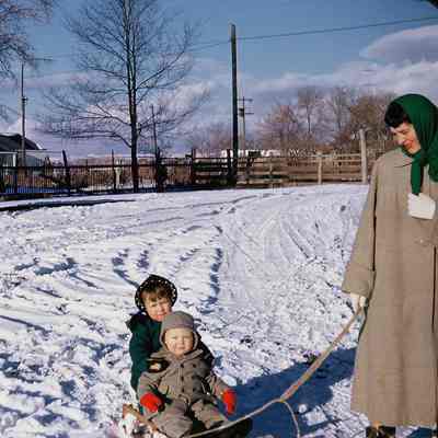 Hill Family
