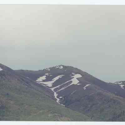 Snow Horse Figure