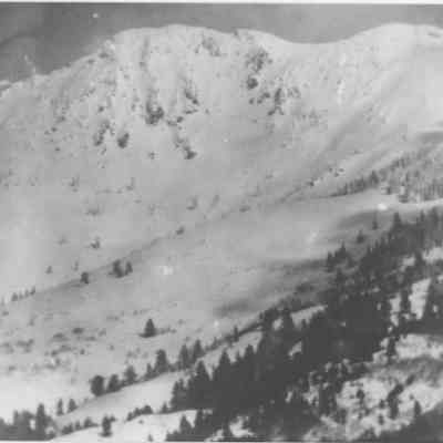 Snow Covered Francis Peak
