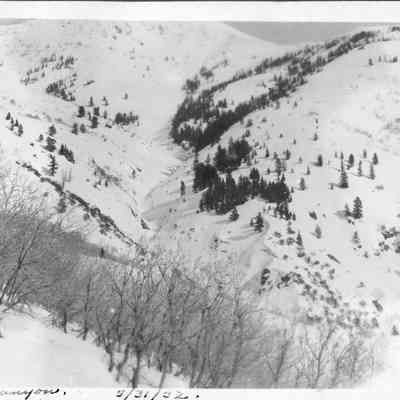 Bair Canyon
