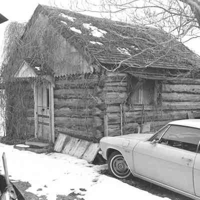 Webster Cabin