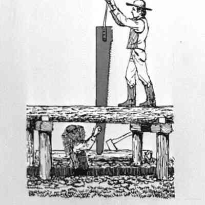 Saw Pit