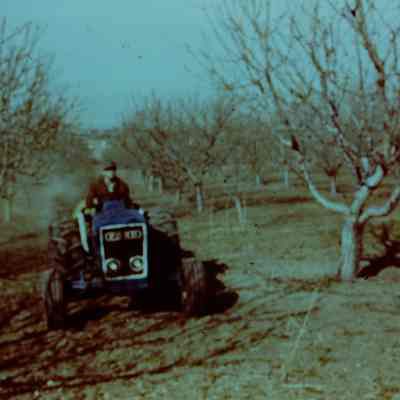 Manning Orchard