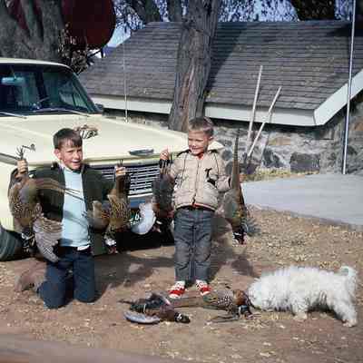 Hill Family Hunting