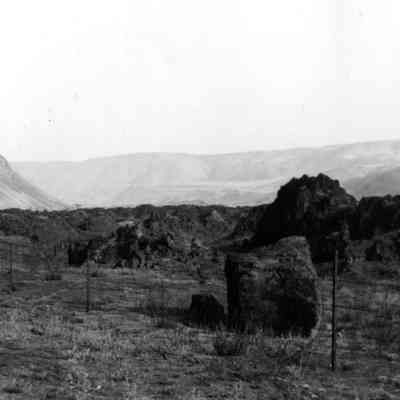 Desert Landscape