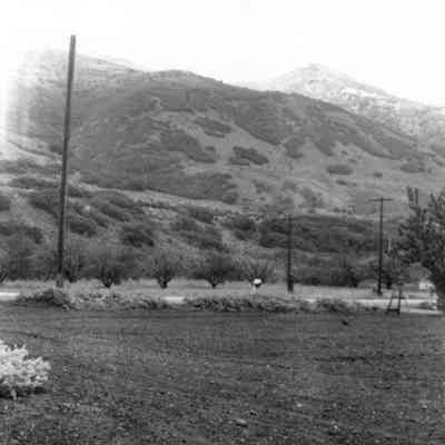 Butcher Field and Orchard