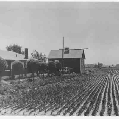 Gleason Farm
