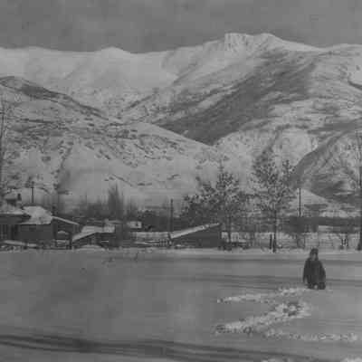 Snowy Field