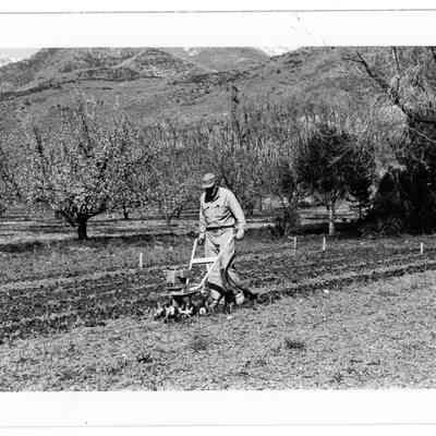 Ward Family Garden