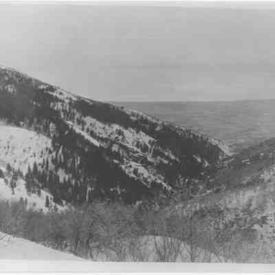 Snow Covered Bair Canyon