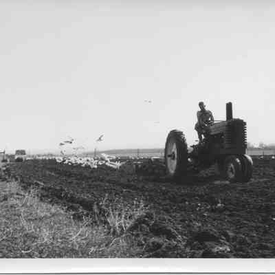 Malcom Harvey Plowing