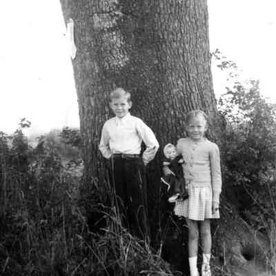 Children Standing Next to Tree
