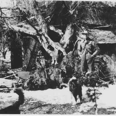 Ward House after East Wind