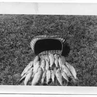 CCC Sheep Creek Catch