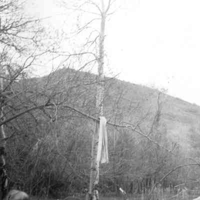 Butcher Campsite