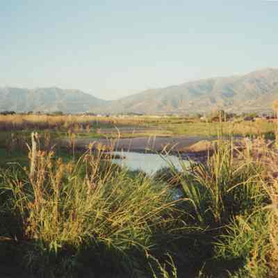 Field with Mountains