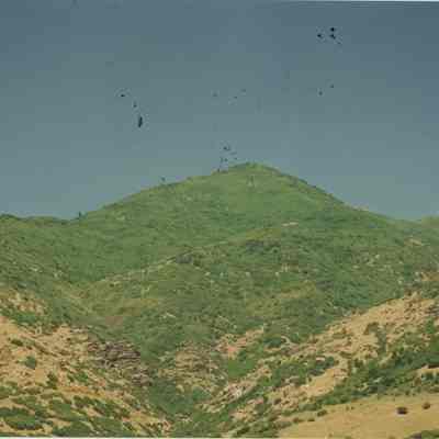 Ed's Peak