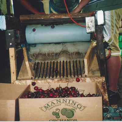Manning Cherry Sorter