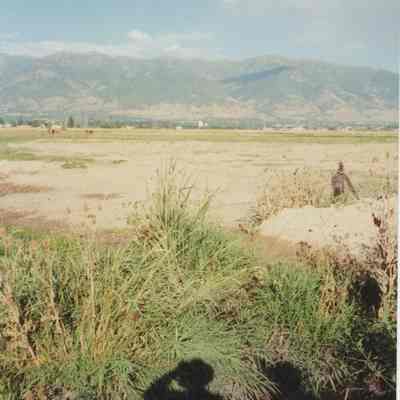 Marshland