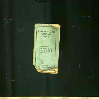 Fish and Game Laws of Utah