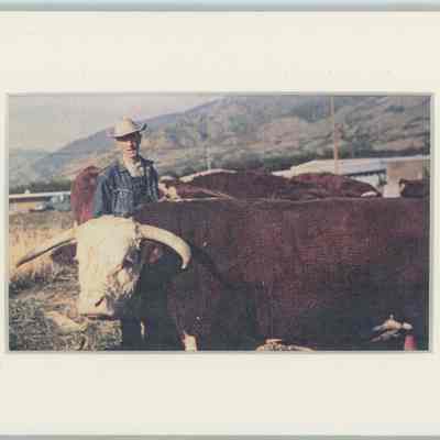 Harvey, Brigham