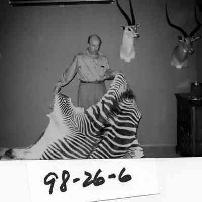 Ed Crooks was a big game hunter. This photo show him holding a zebra skin along with antelope head mounts.