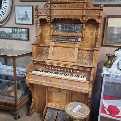 Tyrrell family organ