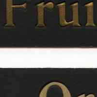          detail: Fruit Ices (dull gilt); Orange (off-white)
   