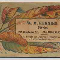 Trade card: A.M. Henning, Florist. 72 Hudson St., Hoboken, N.J. No date, circa 1880-1890.