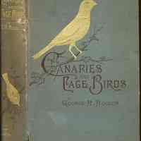 Canaries and Cage-Birds.