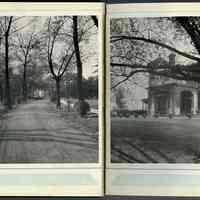          photos: The Drive; Castle Stevens
   