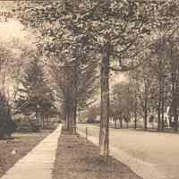          Postcard: Arlington, NJ, Belgrove Drive picture number 1
   