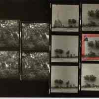 B+W negative contact sheet of images of Hoboken taken by John Conn. no date, [1976].