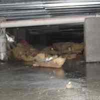          Crawl Space With Insulation
   