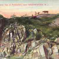 Postcard: Pasture Scene, Weehawken, NJ