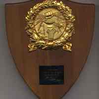          full plaque
   