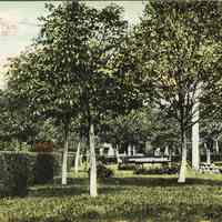 Postcard: West Hoboken Park, West Hoboken, NJ