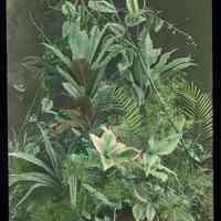 Lantern slide, color, of a floral arrangement in rustic basket, used for promotional display in Hoboken, no date, ca. 1920.