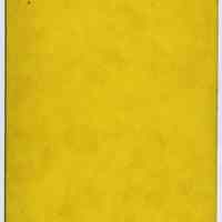          back (rotated) with imprinting
   