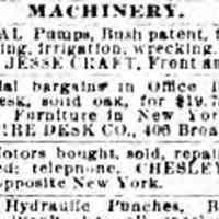          Chesley classified ad: New York Herald, March 18,1894
   