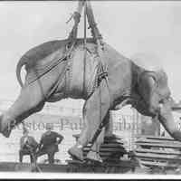          ref. image: elephant Boston Public Library 5634451867_db51d048cf_o
   