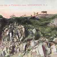 Postcard: Pasture Scene, Weehawken, NJ